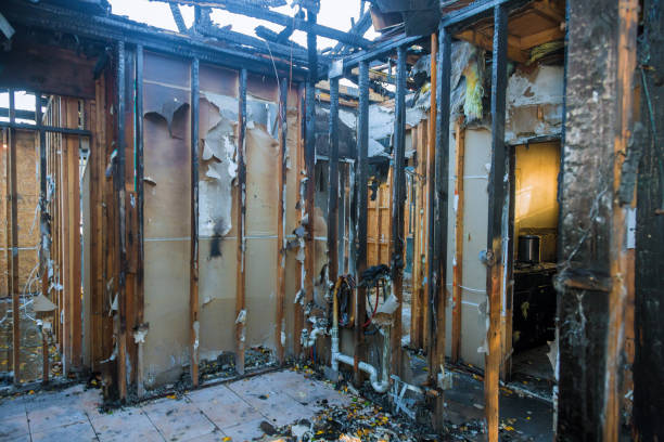 Professional Fire Damage Removal technician working in Boles Acres, NM